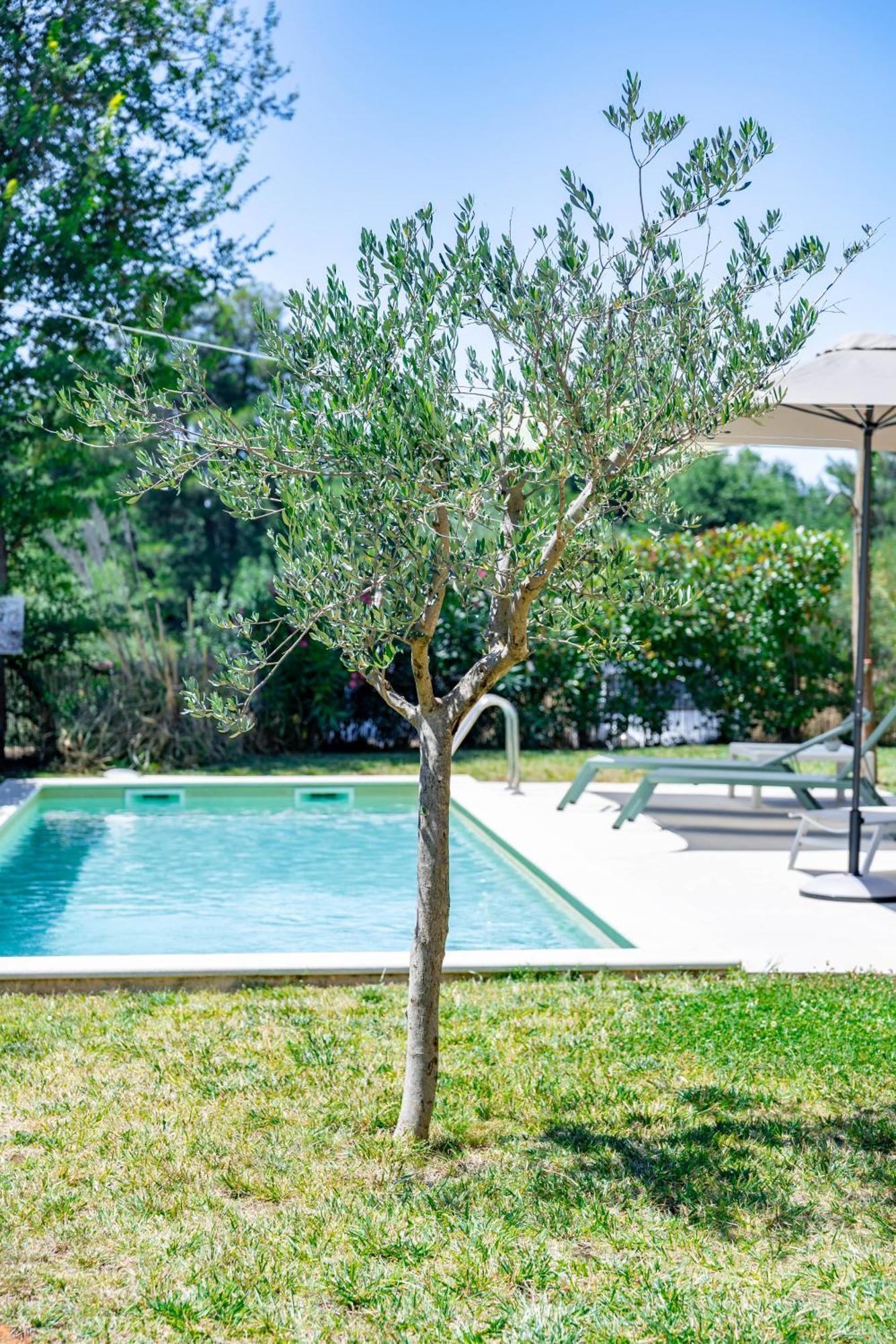 Villa Zen - With Pool & Close To The Sea Tar-Vabriga Exterior photo